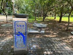 -大兴滨河森林公园