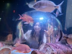 -瑞普利水族馆