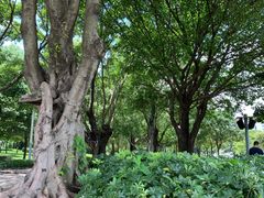 -文华公园(禅城区)