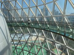 -陕西自然博物馆