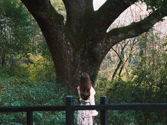 -古堰画乡景区