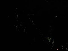 -怀托摩萤火虫洞