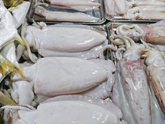 -鸿港海鲜批发市场