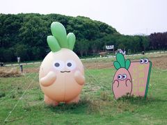 -阳澄湖半岛旅游度假区