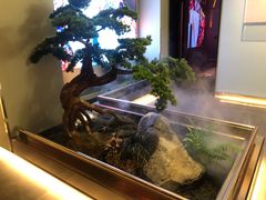 -俏江南天津时尚曲艺主题餐厅(马场道店)