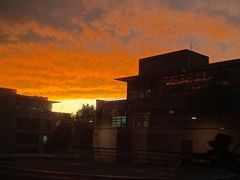 -北京大学燕东园