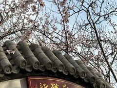 -桃花堤公园