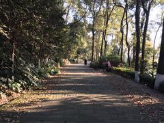 -重庆抗战遗址博物馆