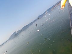 -蠡湖大桥公园