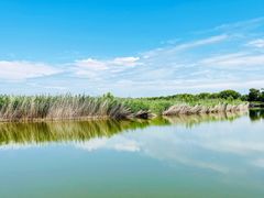 -野鸭湖国家湿地公园