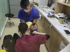 -芭比堂动物医院广州顽皮分院