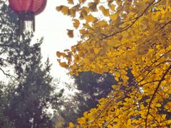 -无锡惠山寺