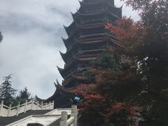 -铁山坪森林公园