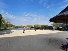 -上海佘山世茂艾美酒店