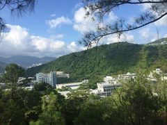 -大埔公路-马料水段香港中文大学(公交站)