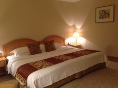 维景国际大酒店-南京维景国际大酒店(南京博物院店)