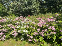 -杭州植物园