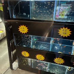 -造物庄园 萌宠纪(苏州湾歌林公园店)