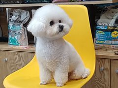 -帕帕拉兹宠物(亚洲旗舰店)