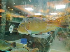 -海逸海鲜酒家(古北店)