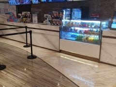 -英皇电影城(英皇集团中心IMAX店)