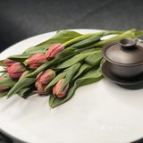 亭亭玉立郁金香🌷