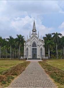 -南宁花花大世界景区