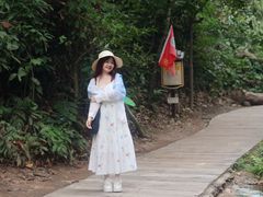 -西双版纳原始森林公园