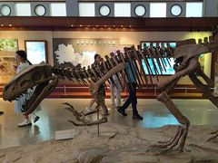 -自贡恐龙博物馆