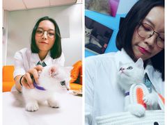 -lincat·猫舍(广州店)