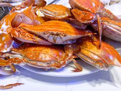 -半岛听涛蒸汽海鲜自助(K11店)