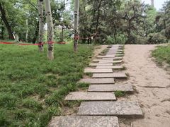 -元大都城垣遗址公园