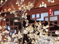 -梅花山(明孝陵内)