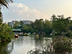 -桂湖森林公园
