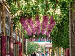 -新疆国际大巴扎