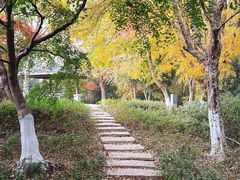 -阳澄湖半岛旅游度假区