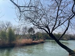 -西溪国家湿地公园