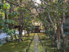 -西芳寺(苔寺)