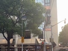 -Peet's Coffee皮爷咖啡(大学路店)