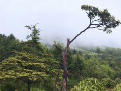 -硗碛藏寨·神木垒景区