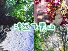 -飞霞风景名胜区