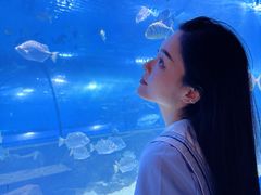 -重庆欢乐海底世界