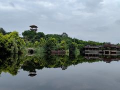 -张坝桂圆林公园