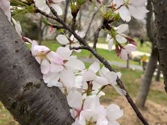 -堤角公园
