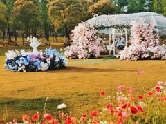 -春花秋色城市公园