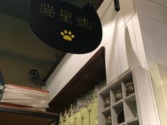 -猫咪博物馆(顶澳仔猫街店)