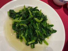 酒香豆苗-老吉士酒家(天平路店)