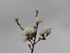 -马灯部落·西湖边的创意山景餐厅(虎跑动物园店)