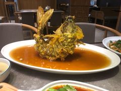 糖醋鲤鱼-闫府私房菜·百年鲁菜(恒隆店)