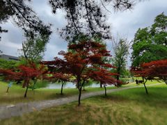 -同济大学(嘉定校区)